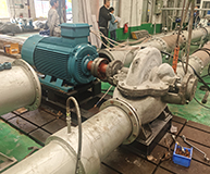 公司動態